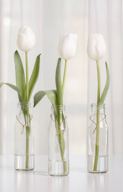 istock White tulips in bottles with Easter decoration in the form of eggs on a white table. 1131844876