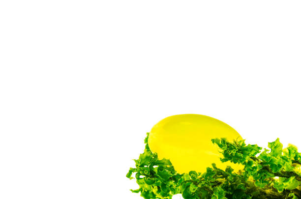 a yellow egg symbolizing easter traditions