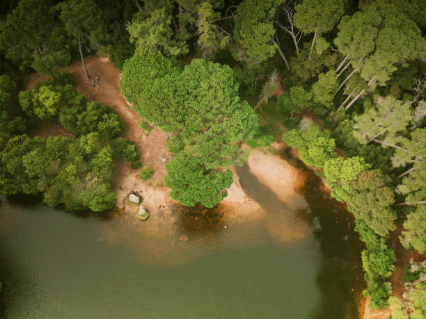 istock Aerial top view from a lake surrounded by trees 1131847759