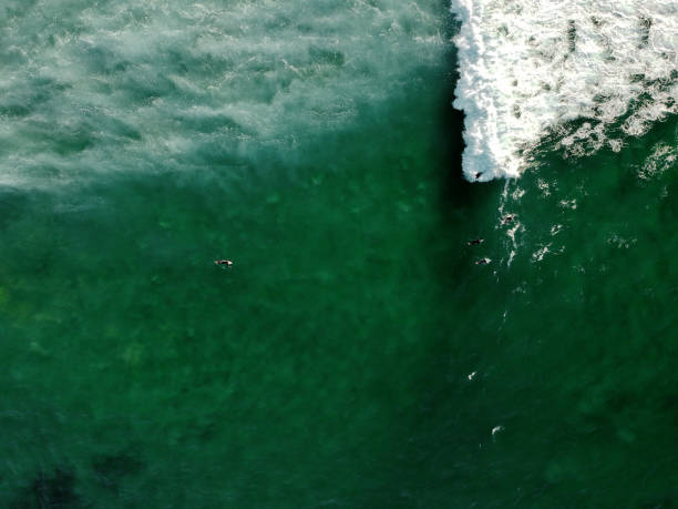 istock Aerial view from surfers. Drone photo. Surf Spot 1131847794