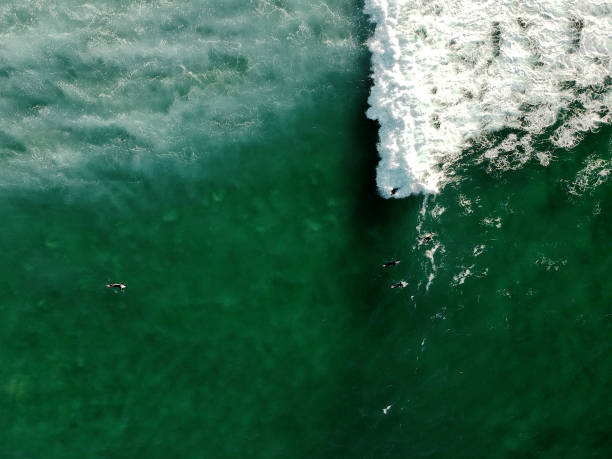 istock Aerial view from surfers. Drone photo. Surf Spot 1131847801