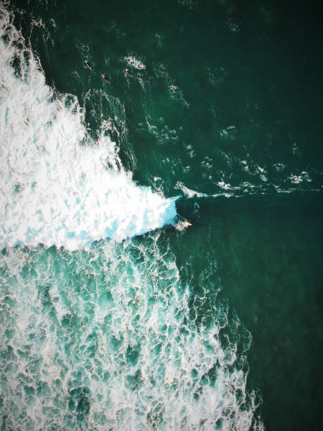 istock Aerial view from surfers. Drone photo. Surf Spot 1131847820
