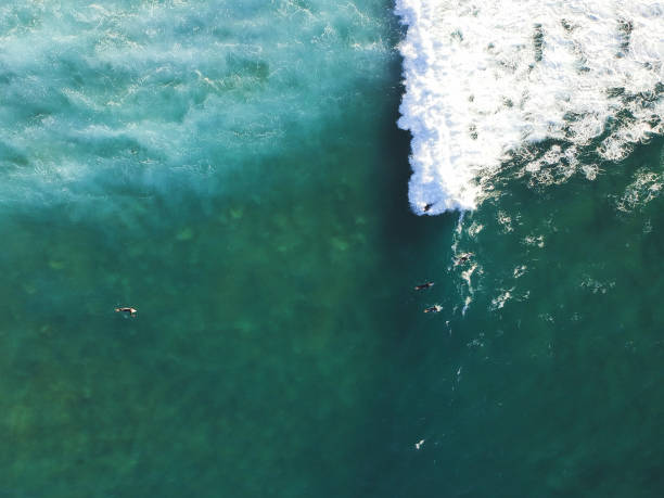 istock Aerial view from surfers. Drone photo. Surf Spot 1131847821