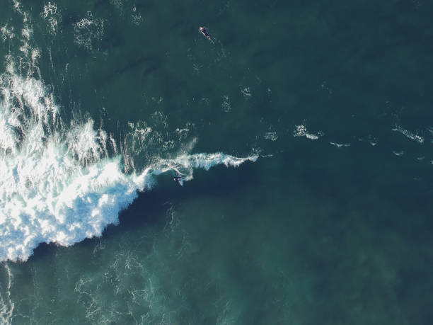 istock Aerial view from surfers. Drone photo. Surf Spot 1131847823