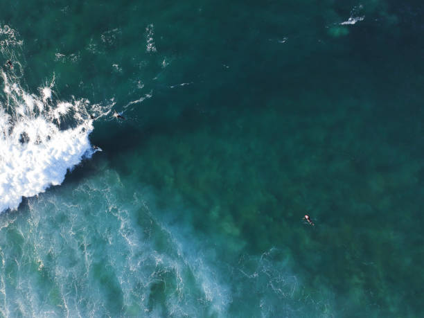 istock Aerial view from surfers. Drone photo. Surf Spot 1131847835