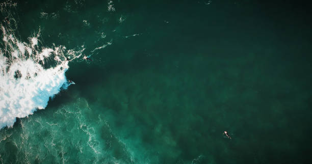 istock Aerial view from surfers. Drone photo. Surf Spot 1131847840