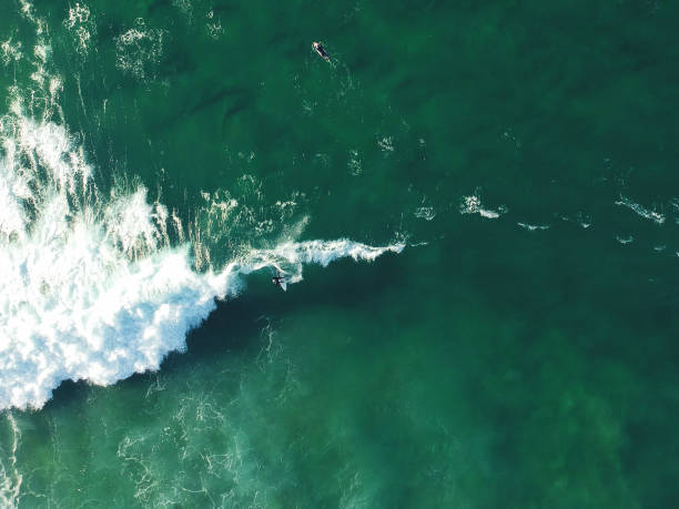 istock Aerial view from surfers. Drone photo. Surf Spot 1131847862