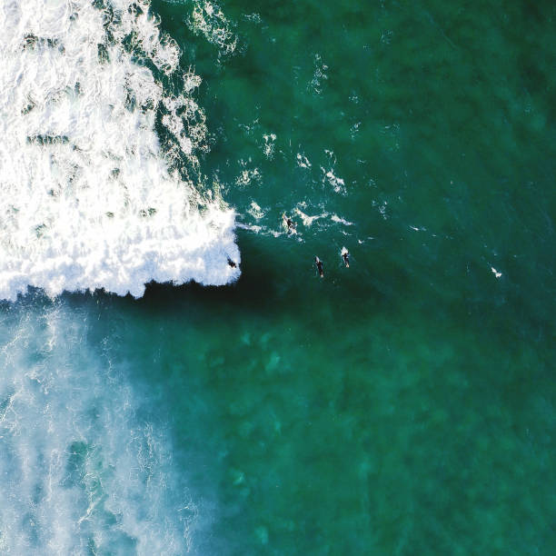 istock Aerial view from surfers. Drone photo. Surf Spot 1131847875