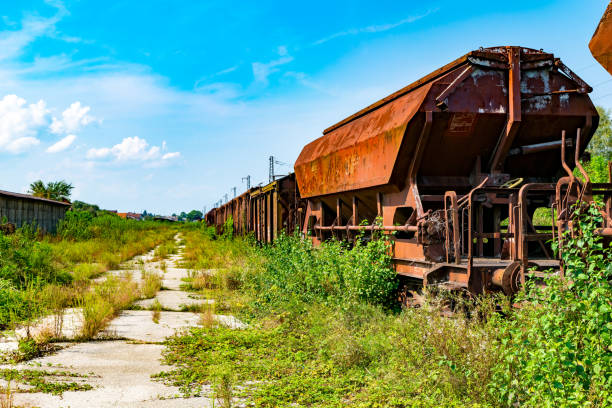 A Rusted train cars stand on old tracks