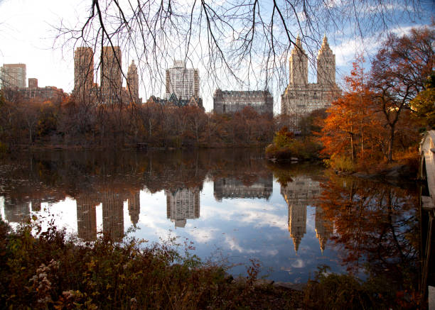 istock Central Park, Manhatan, New York 1131848350