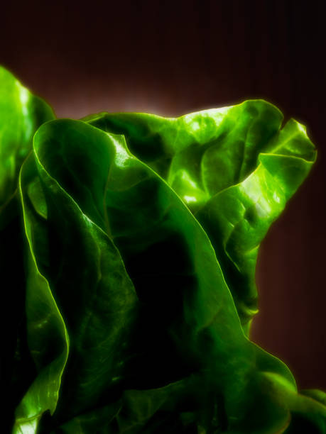 istock leaves of chard 1131850396