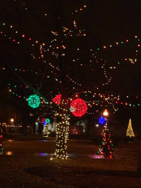 istock Christmas Lights in the Park 1131856915