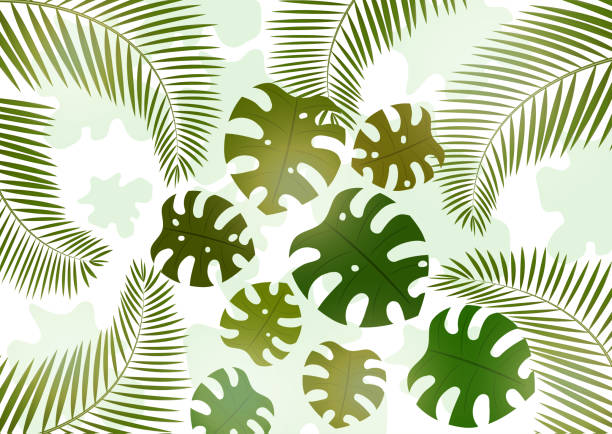 istock Bright tropical background with monster leaves and palm branches for your design. Invitation to a party in an exotic style. - Vector graphics 1131857378