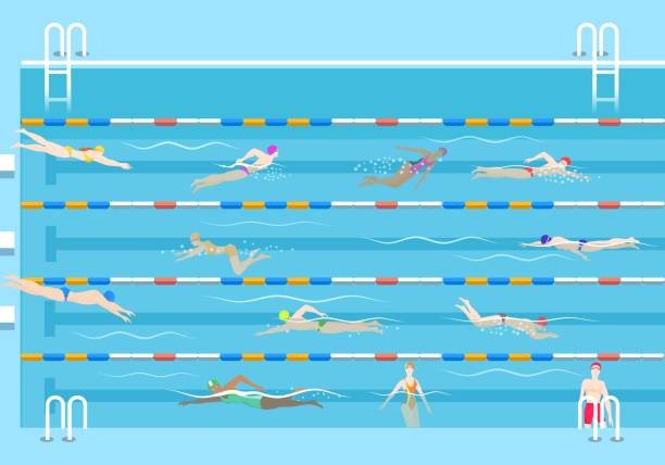 People in pool People in pool. Swim men and women in public swimming pool vector illustration, swimmers on lanes cartoon of a swimming goggles stock illustrations