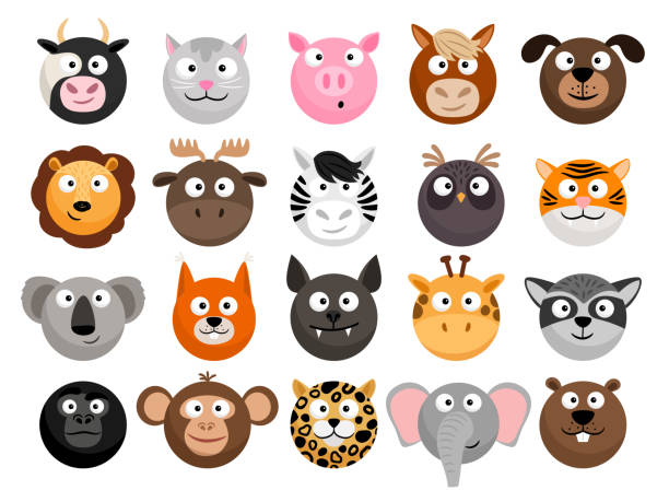 набор смайликов для животных - koala animal love cute stock illustrations