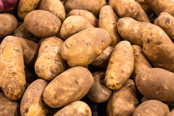 Potatoes Heap of raw white potatoes in grocery bin idaho stock pictures, royalty-free photos & images