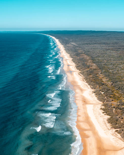 istock Coastline with ocean, beach and forest at Fraser Island, Australia. 1131866625