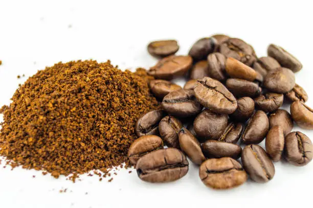 The popular hot drink from the roasted bean of the coffee plant