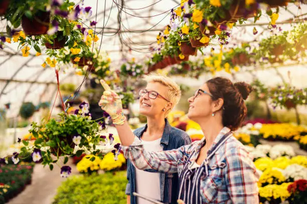 Photo of Florist helping customer to choose flowers. Greenhouse interior.