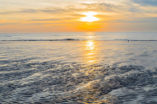 istock Sunset on the Beach of St. Peter-Ording 1131870400