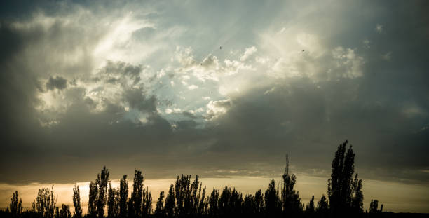 Landscape with dramatic light - beautiful golden sunset with saturated sky and clouds, peaceful nature serene background.