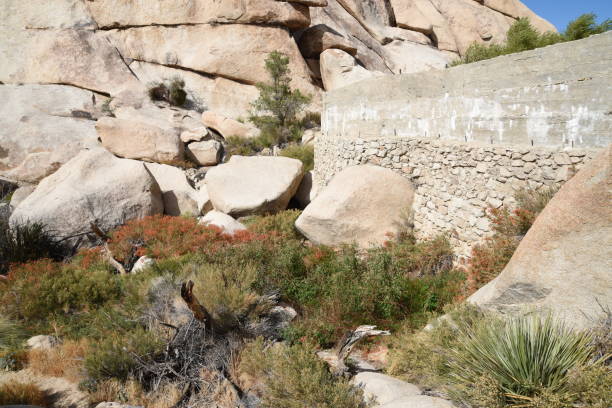 istock Barker Dam in Joshua Tree NP 1131875715