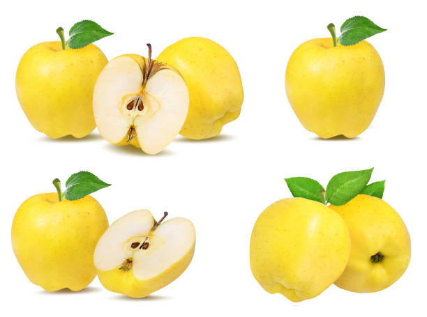 istock Yellow apples with leaf isolated on white background with clipping path 1131875984