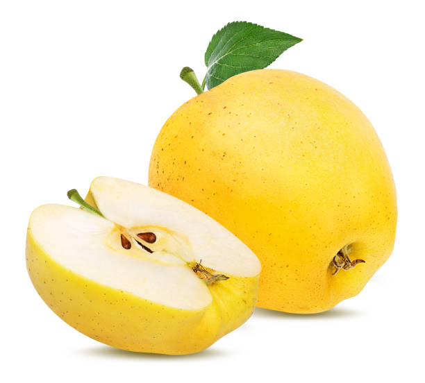 istock Yellow apples with leaf isolated on white background with clipping path 1131876271