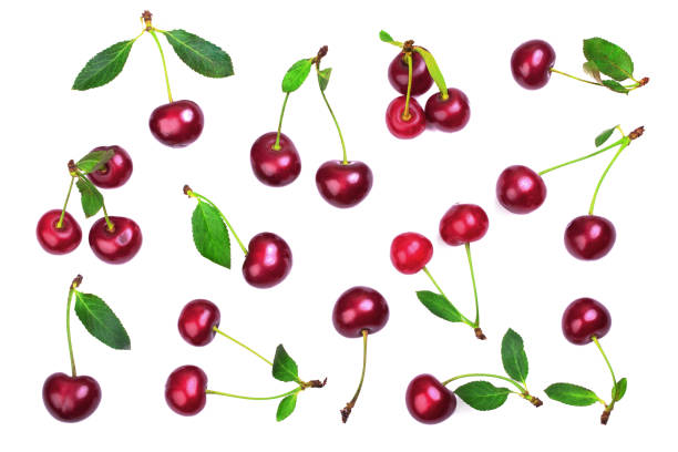 istock Group of ripe cherries with sprigs and leaves 1131877149
