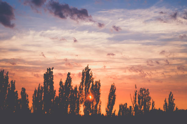 istock Landscape with dramatic light - beautiful golden sunset with saturated sky and clouds. 1131877465
