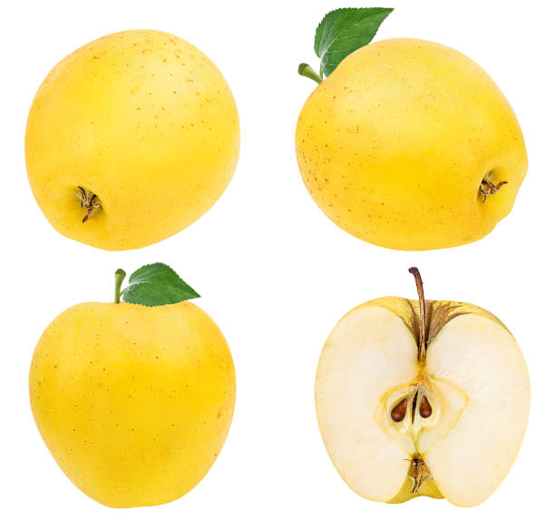 istock Yellow apples with leaf isolated on white background with clipping path 1131877724
