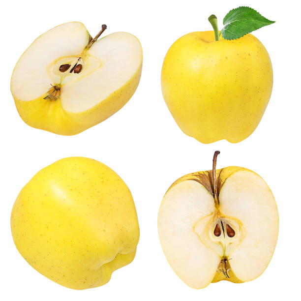 istock Yellow apples with leaf isolated on white background with clipping path 1131879207