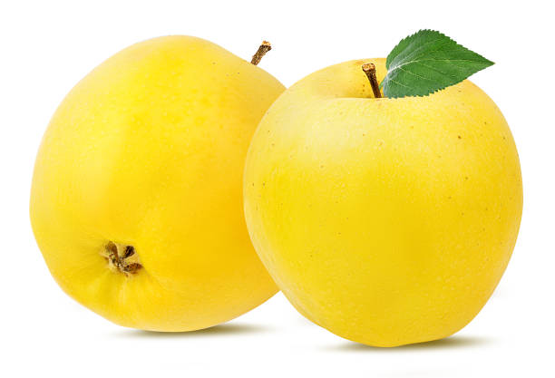 istock Yellow apples with leaf isolated on white background with clipping path 1131879898