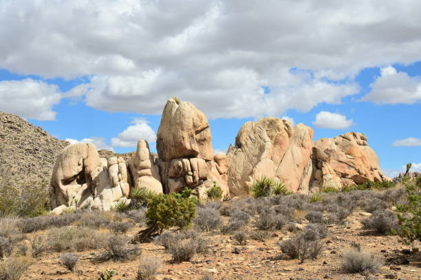 istock Heaps of Monzogranite 1131879903