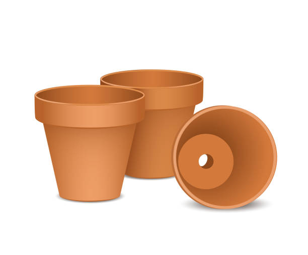 illustrations, cliparts, dessins animés et icônes de pots de fleurs de terre cuite, vide et nouveaux pots d'argile ensemble, illustration vectorielle d'isolement sur fond blanc - flower pot