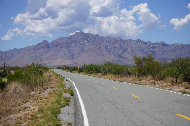 istock A road in New Mexico 1131885660