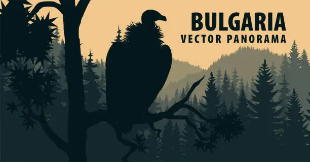 Vector illustration of vector panorama of Bulgaria with Griffon vulture