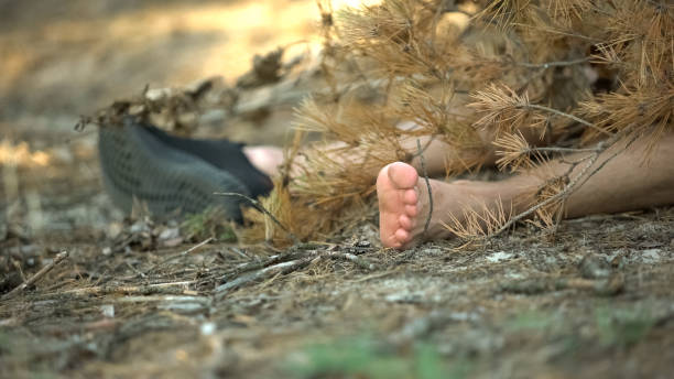 Corpse in one shoe covered with tree branch lying on ground, murder in woods