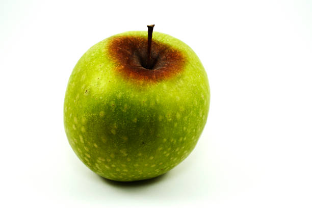green apple with rotten on white background