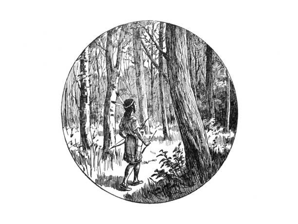 иллюстрации индейцев коренных американцев - мальчик в лесу с луком и стрелами - иллюстрация - north american tribal culture environment child plant stock illustrations