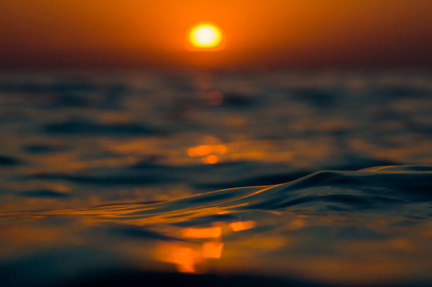 istock Amazing sea sunset, the sun, waves, clouds 1131892085
