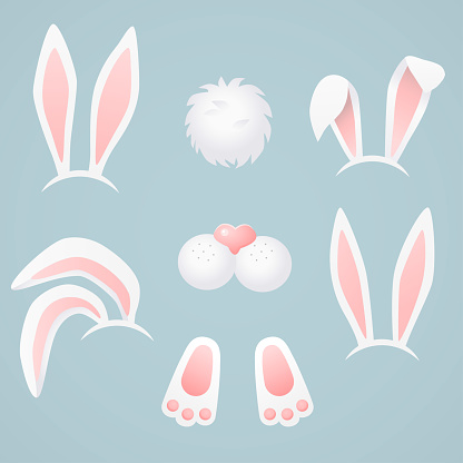 Vector art: bunny body parts.