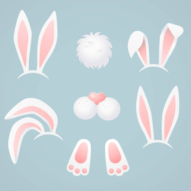 Easter bunny, rabbit. Vector illustration. Vector art: bunny body parts. rabbit hat stock illustrations