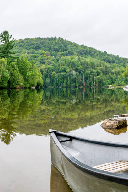 istock Peaceful fishing lake with mountain range 1131895060