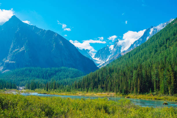 istock Mountain creek in valley before beautiful glacier. Snowy rocks behind mountains with conifer forest. Huge clouds on giant snowy mountain top under blue sky. Atmospheric landscape of highland nature. 1131897899
