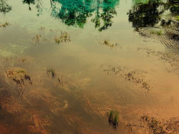 istock Pure Fresh Clear Shallow Water 1131899554