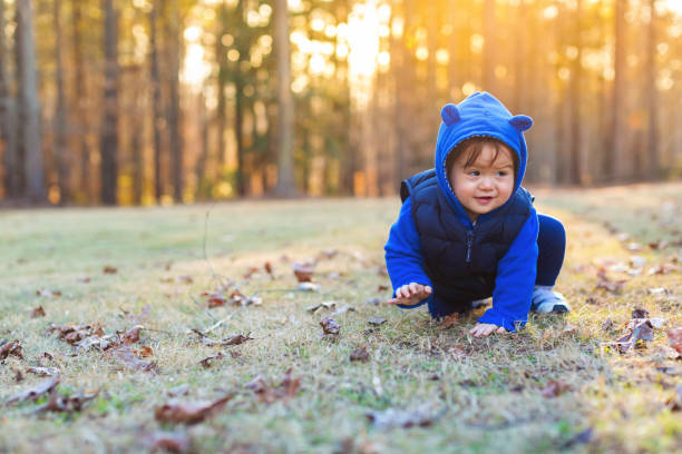 Cute little boy is playing in the park. He is enjoying in his first steps and bravely endures every fall. Children's persistence and curiosity.