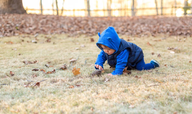 istock Toddler boy playing outside in autumn 1131900728