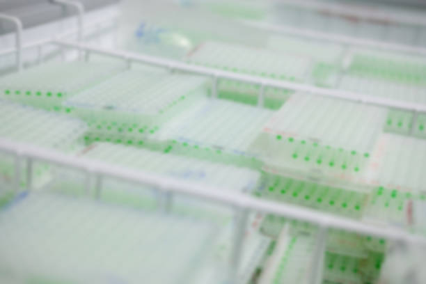 istock plant DNA sample in biotechnology biiology lab laboratory. blur background 1131901522