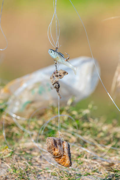 istock Furtive fish hook found in the riverside - Llobregat river,  Barcelona 1131904763